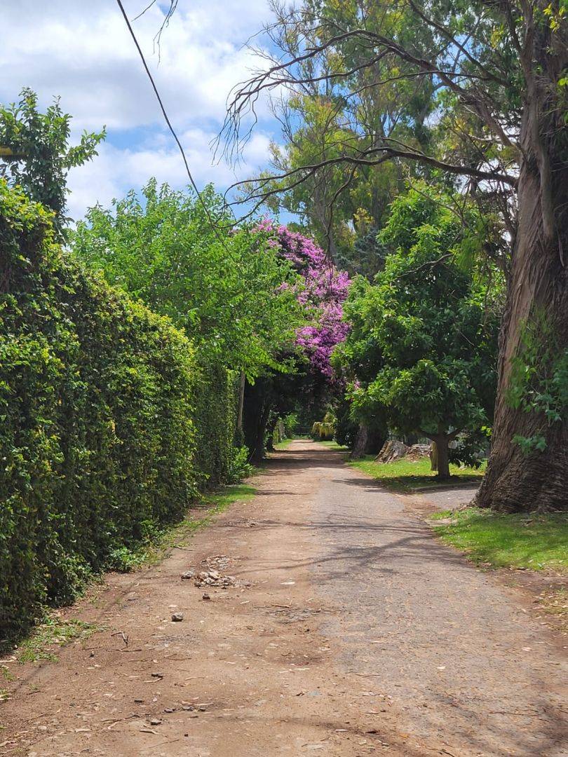 Lote de 697 m² en Manuel B Gonnet, foto 5
