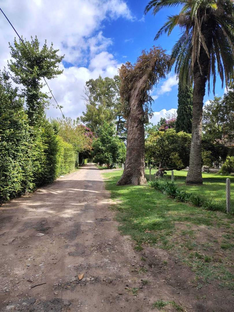 Lote de 697 m² en Manuel B Gonnet, foto 4