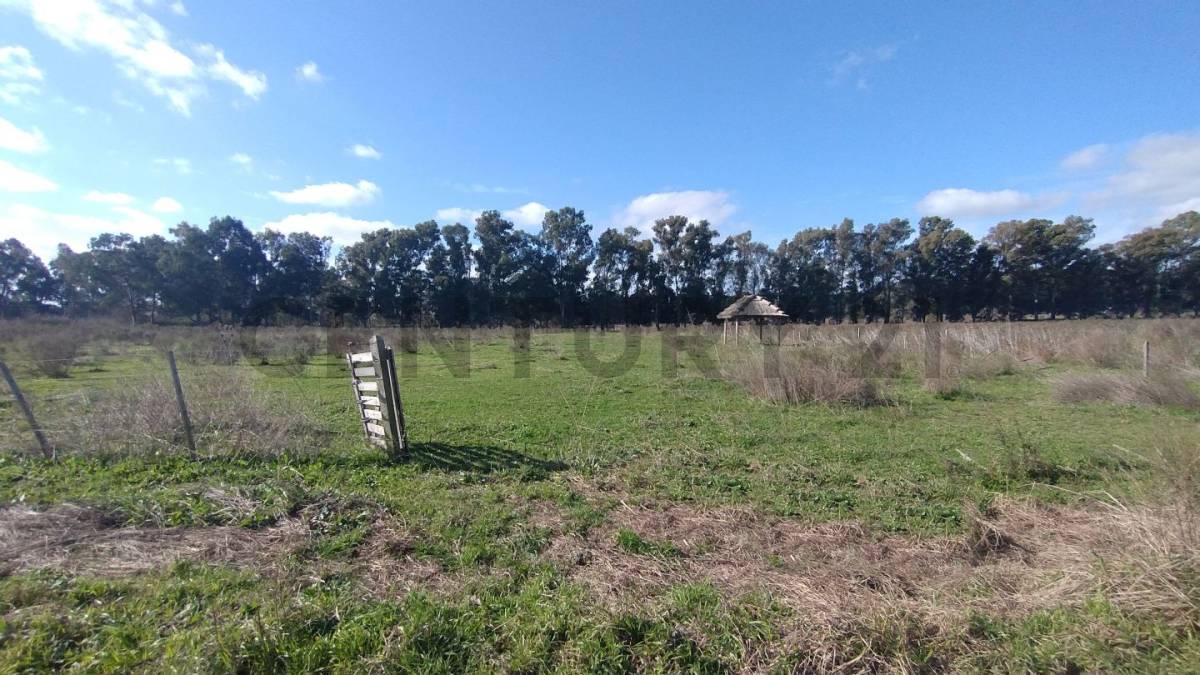 Lote de 5.000 m² en Eduardo Arana, foto 2