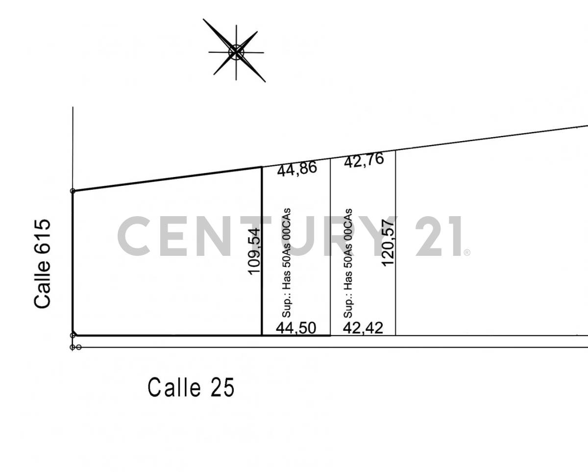 Lote de 5.000 m² en Eduardo Arana, foto 5