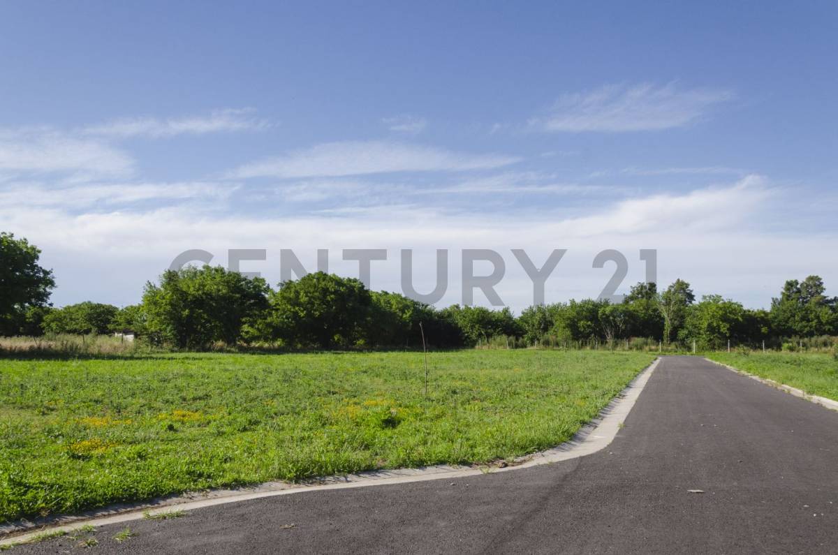 Lote de 600 m² en La Plata, foto 3