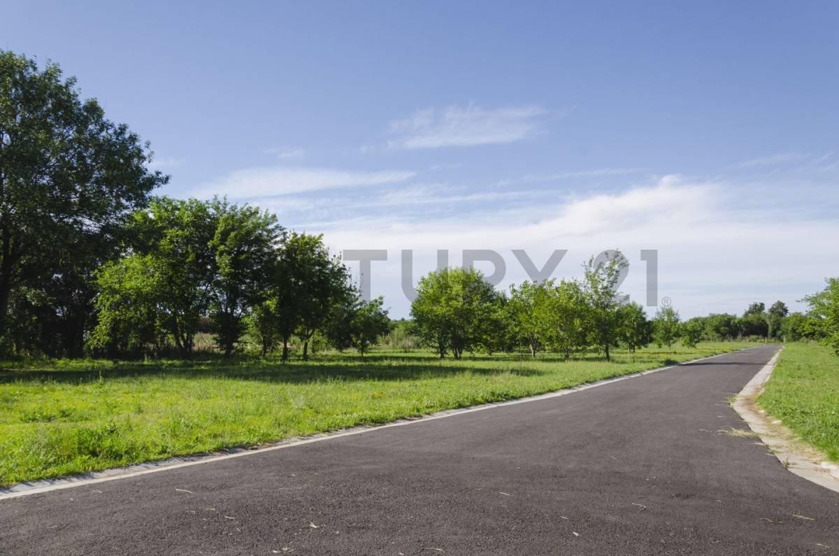 Lote de 600 m² en La Plata, foto 4