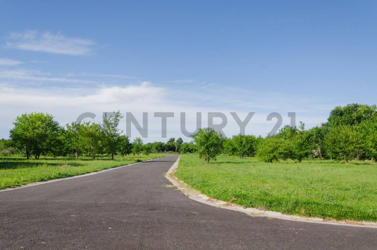 Lote de 600 m² en La Plata, foto 5
