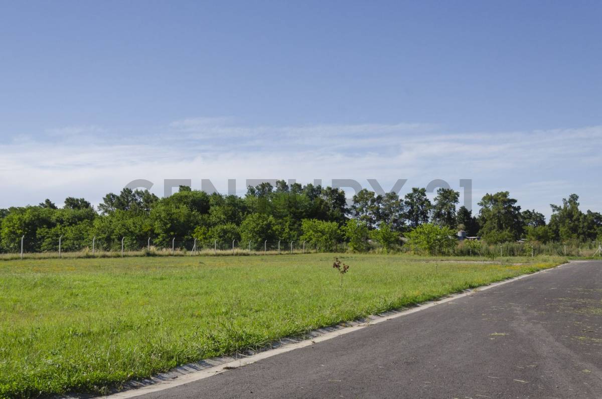 Lote de 630 m² en La Plata, foto 4