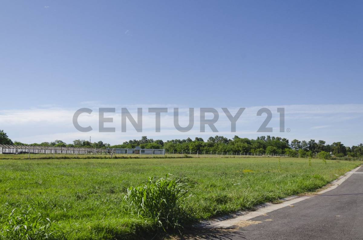 Lote de 630 m² en La Plata, foto 3