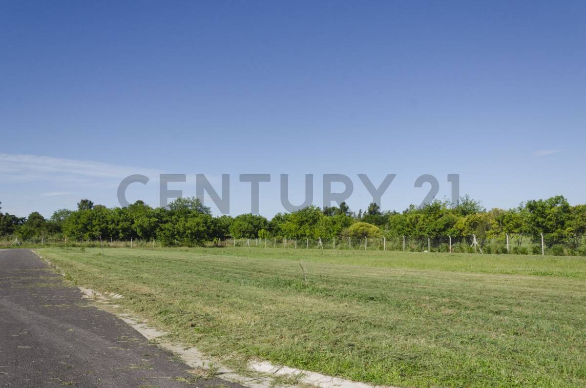 Lote de 630 m² en La Plata, foto 5