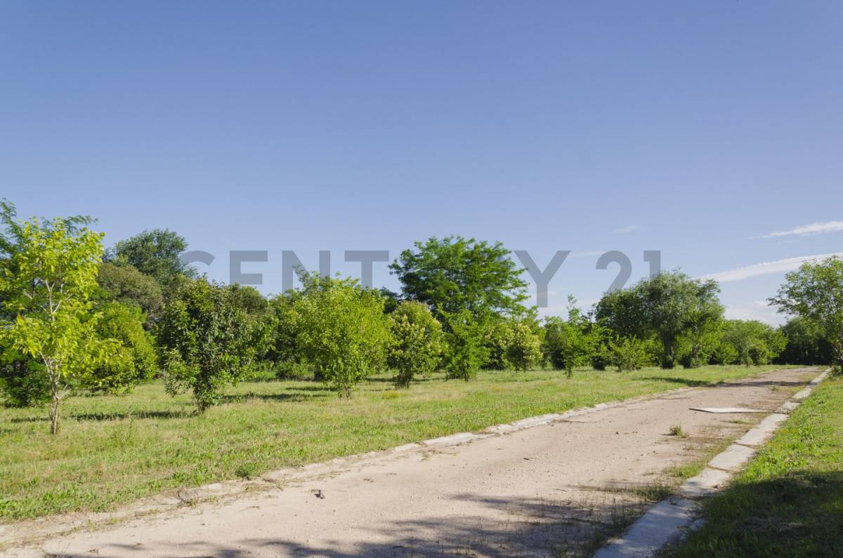 Lote de 637 m² en La Plata, foto 5