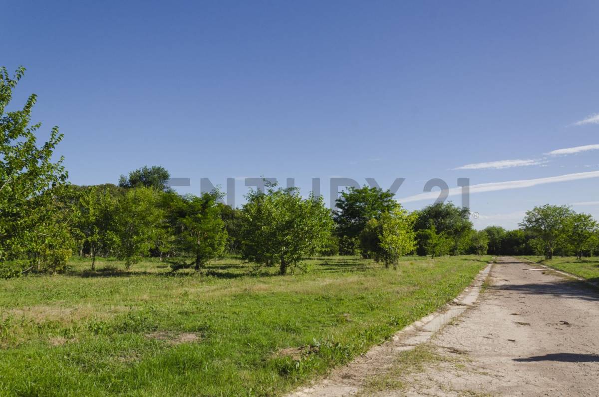 Lote de 637 m² en La Plata, foto 2