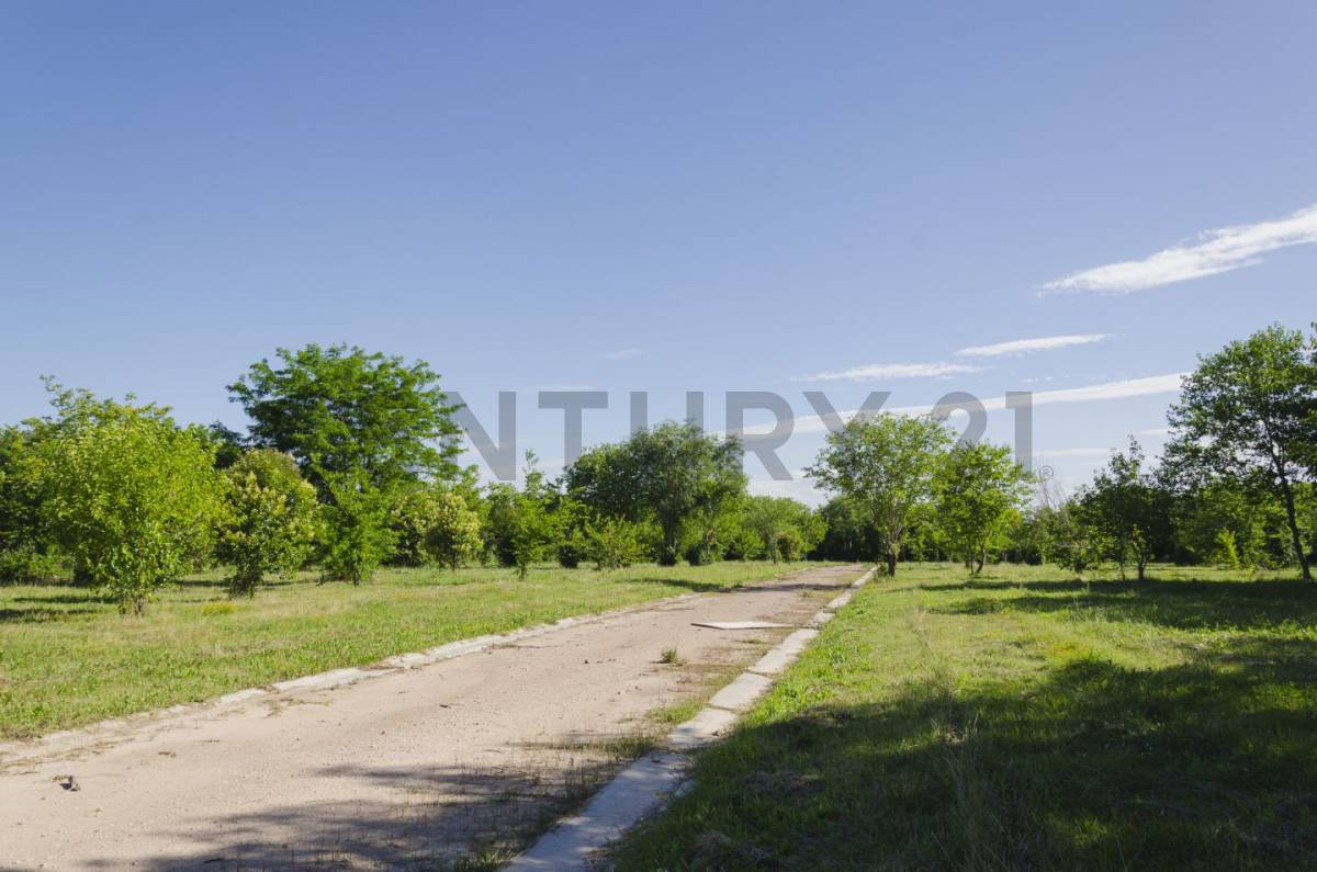 Lote de 637 m² en La Plata, foto 4
