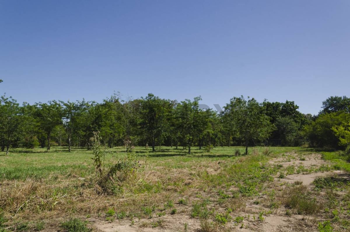 Lote de 600 m² en Villa Elisa, foto 4