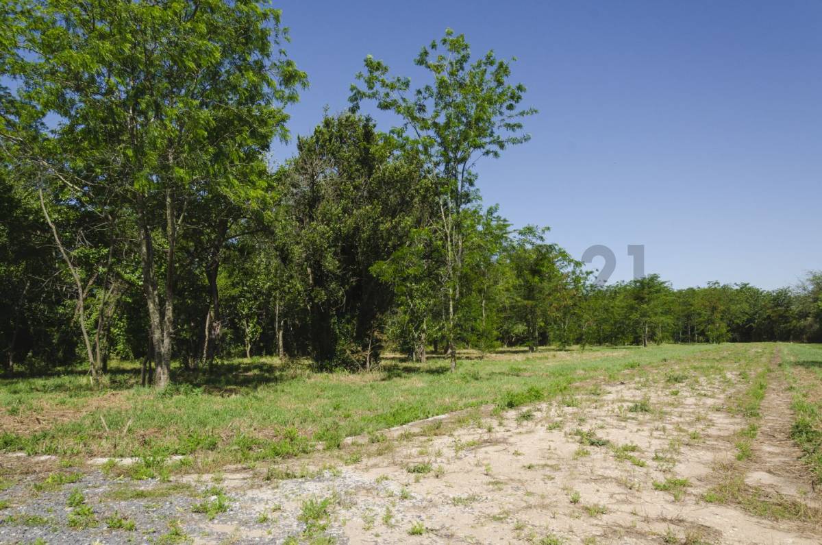 Lote de 600 m² en Villa Elisa, foto 3