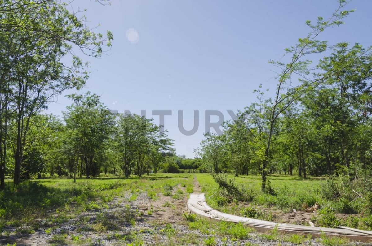 Lote de 600 m² en Villa Elisa, foto 5