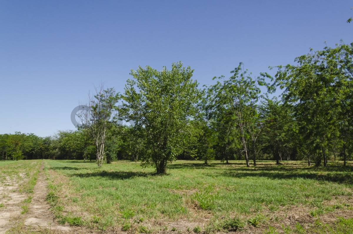 Lote de 600 m² en Villa Elisa, foto 2
