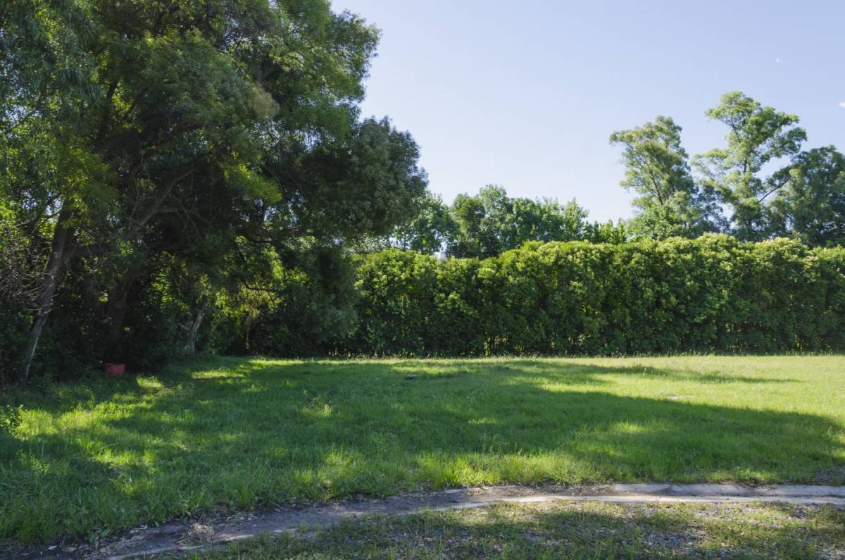 Lote de 615 m² en Villa Elisa, foto 4