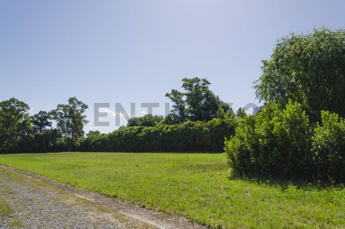 Lote de 615 m² en Villa Elisa, foto 2