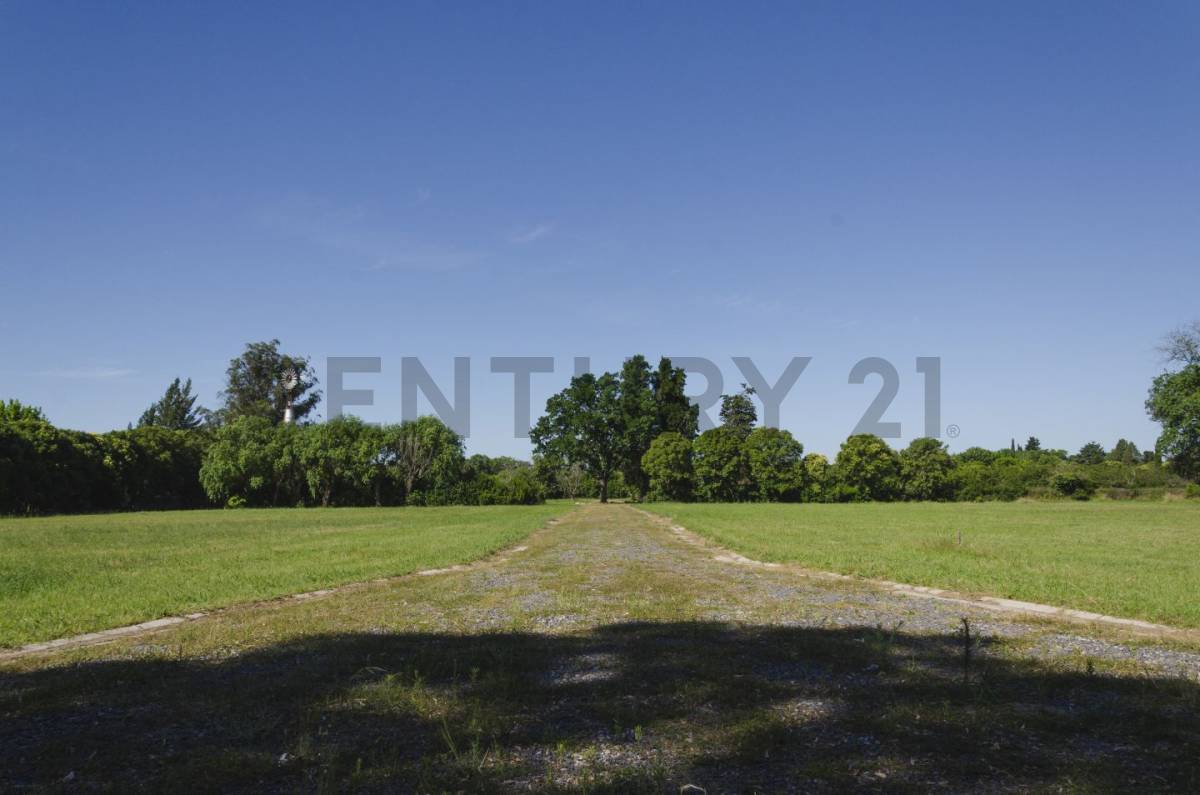 Lote de 615 m² en Villa Elisa, foto 5