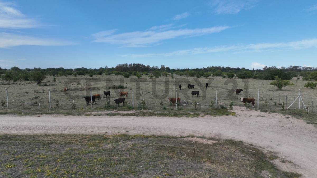 Lote de 600 m² en Berisso, foto 4