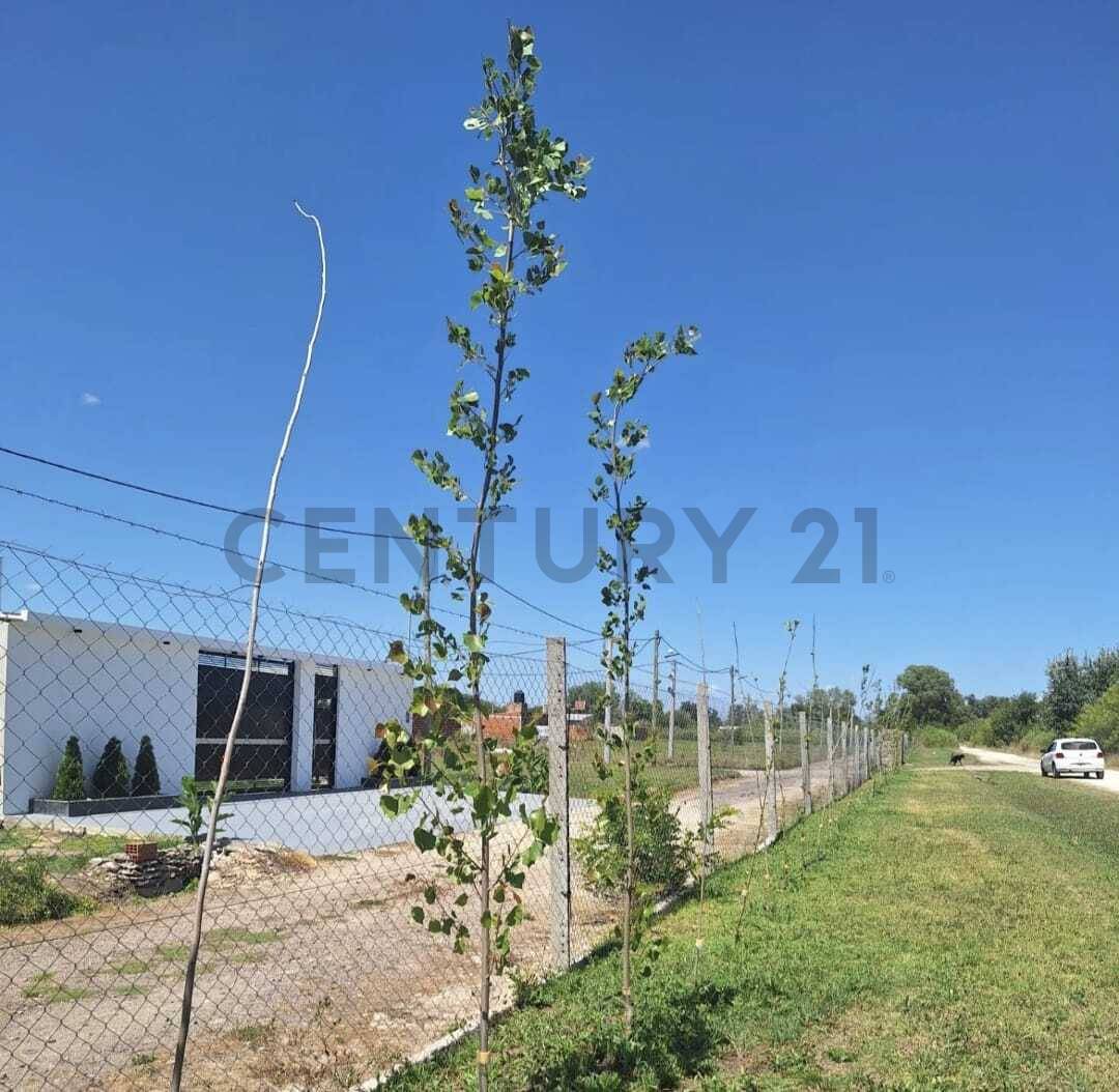 Lote de 288 m² en Los Hornos, foto 2