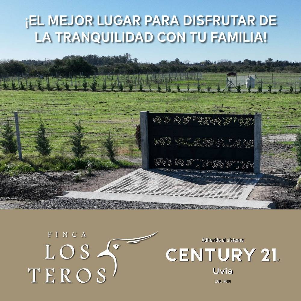 Lote de 555 m² en Berisso, foto 5