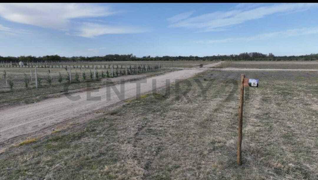 Lote de 555 m² en Berisso, foto 4