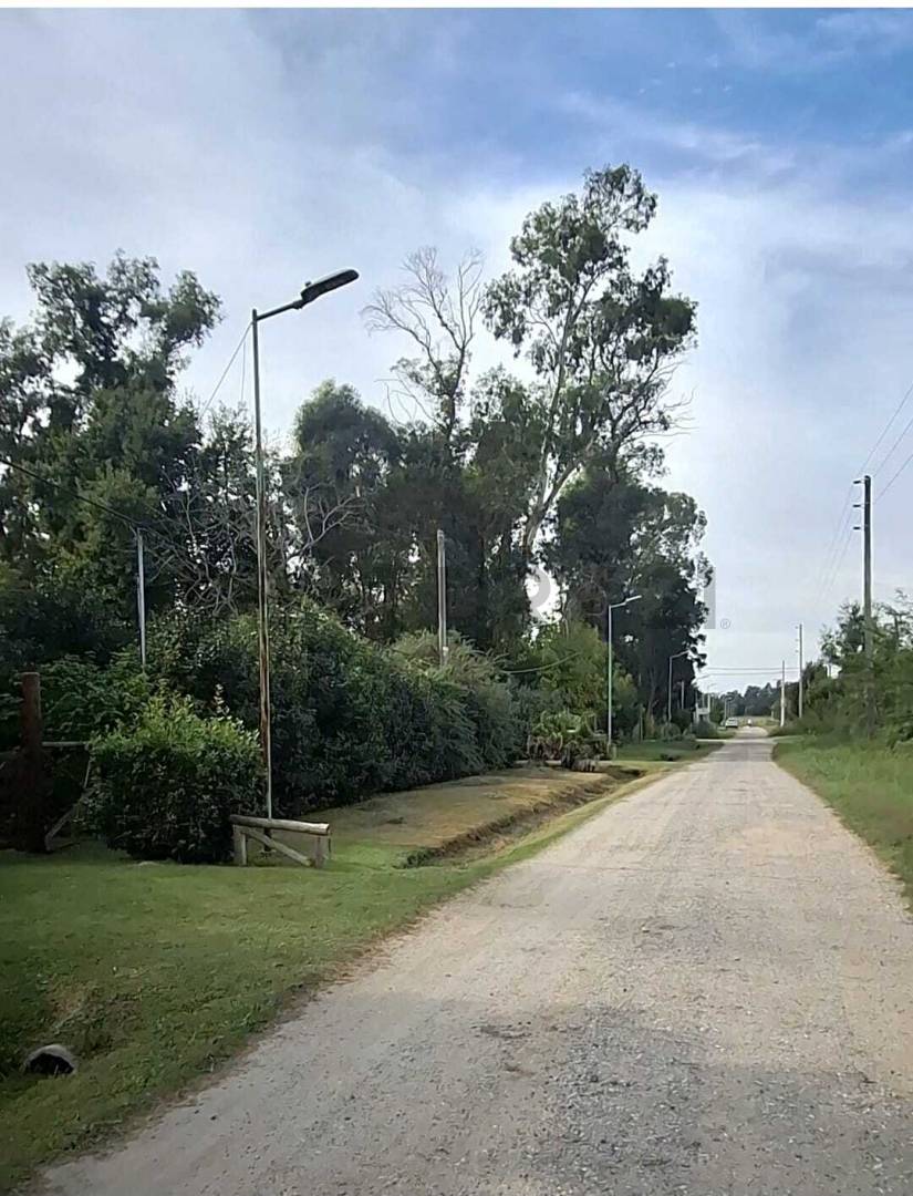 Lote de 372 m² en Ignacio Correas, foto 3