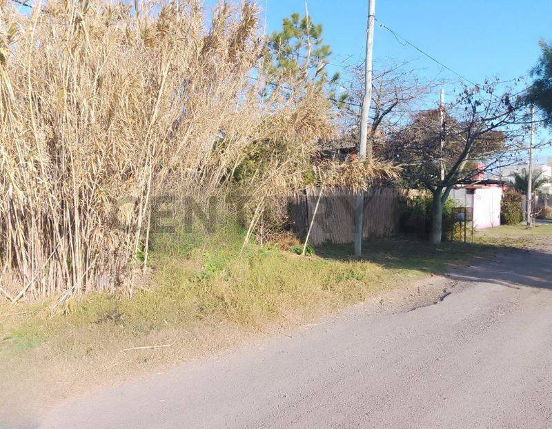 Lote de 467 m² en Manuel B Gonnet, foto 5