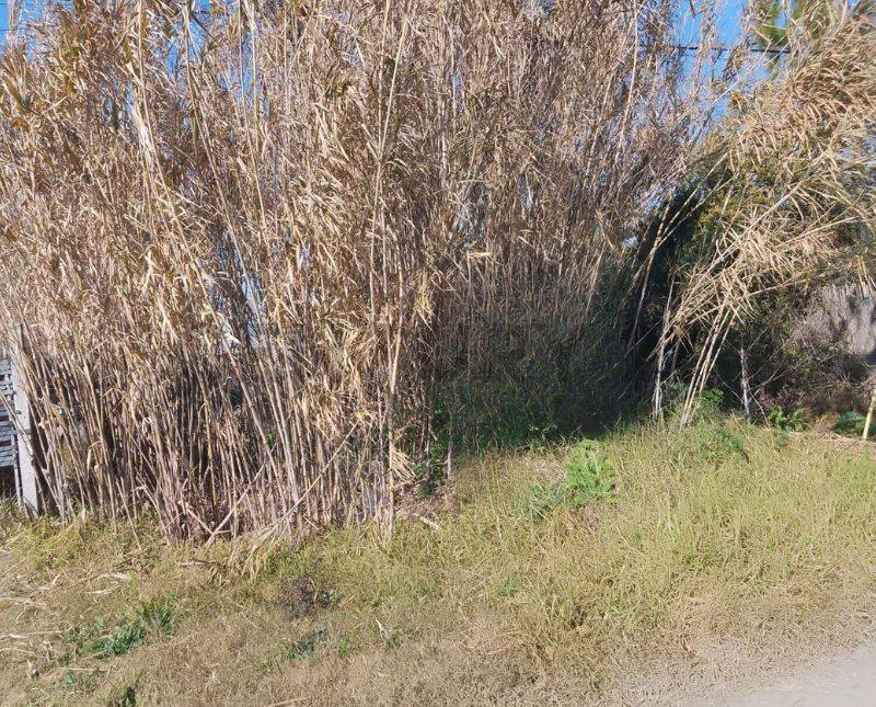 Lote de 467 m² en Manuel B Gonnet, foto 4