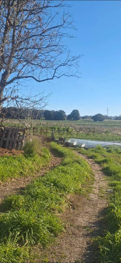 Campo de 9 m² en Eduardo Arana, foto 2
