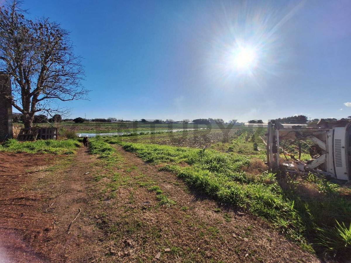 Campo de 9 m² en Eduardo Arana, foto 5