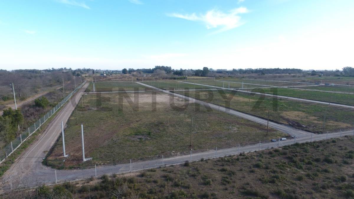 Lote de 320 m² en La Plata, foto 3