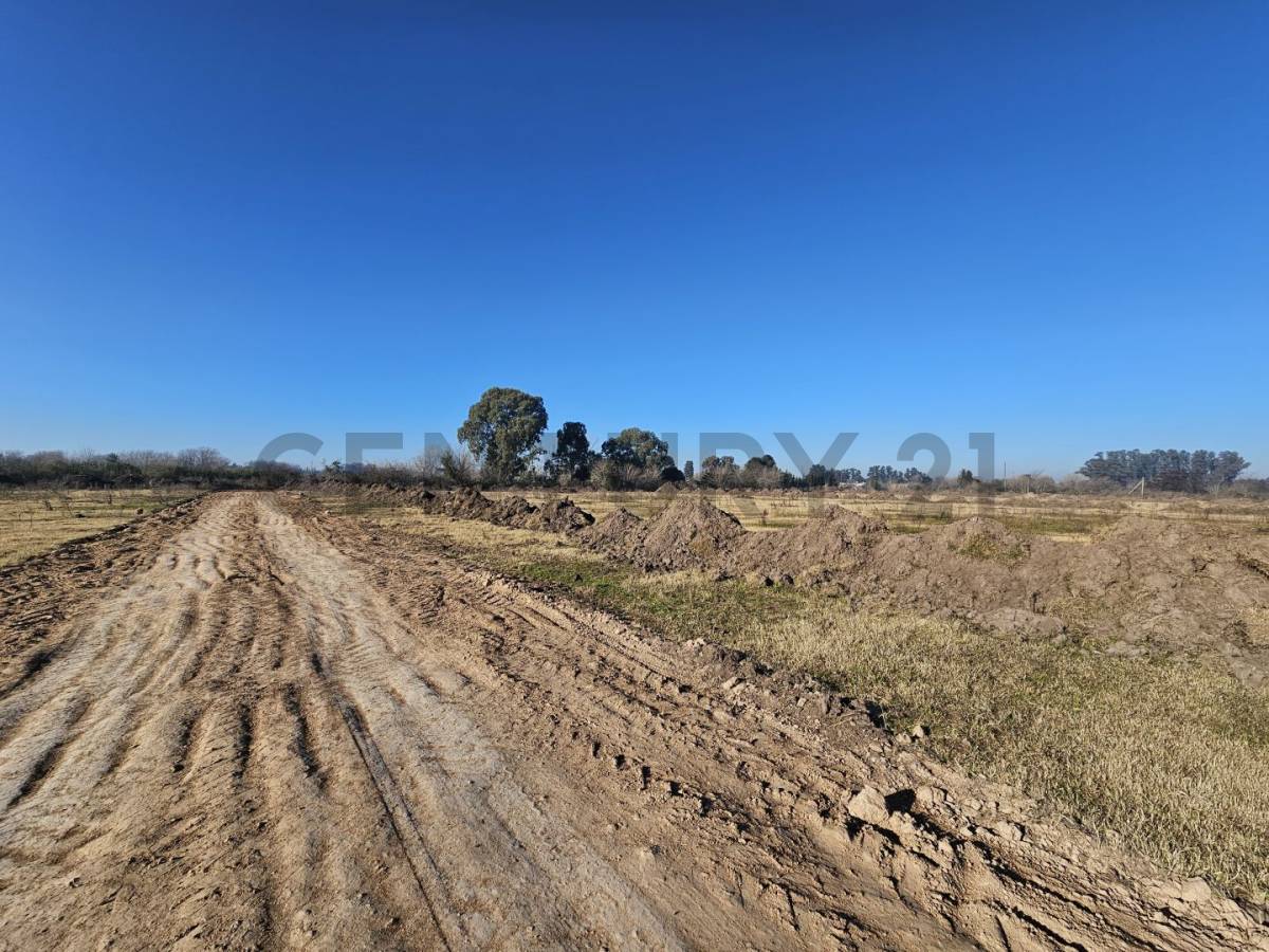Lote de 320 m² en Los Hornos, foto 5