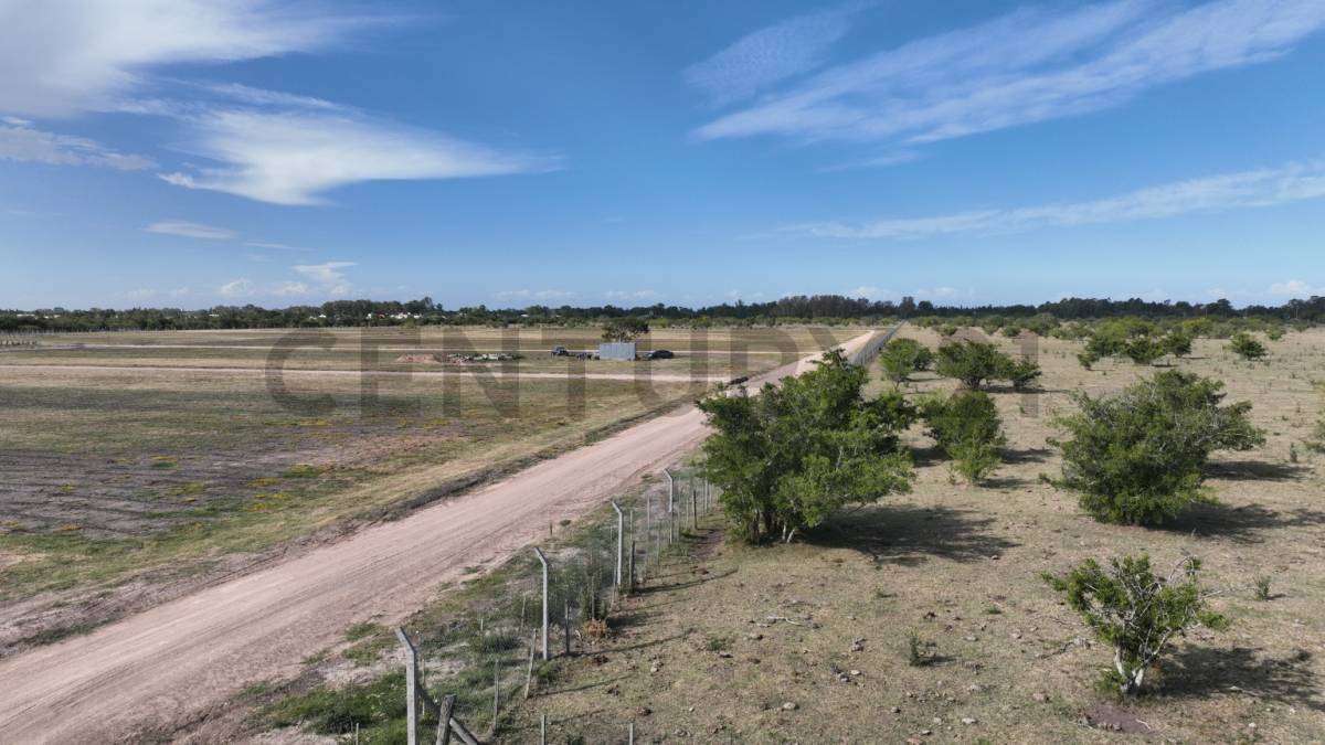 Lote de 555 m² en Berisso, foto 4