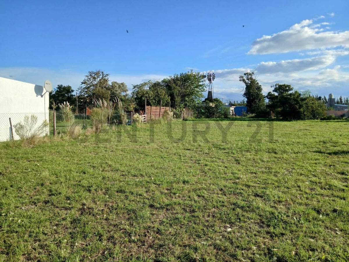 Lote de 629 m² en Eduardo Arana, foto 2