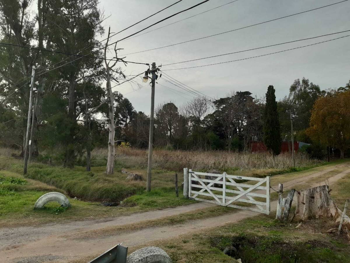 Lote de 1.959 m² en Berisso, foto 3