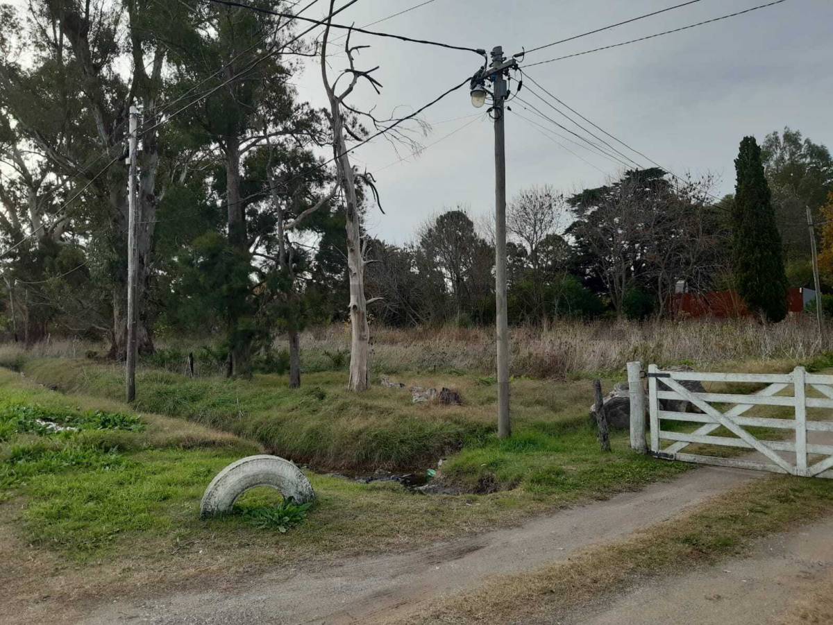 Lote de 1.959 m² en Berisso, foto 2
