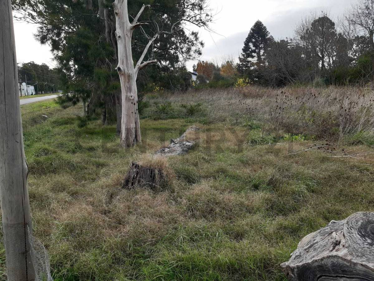 Lote de 1.959 m² en Berisso, foto 5
