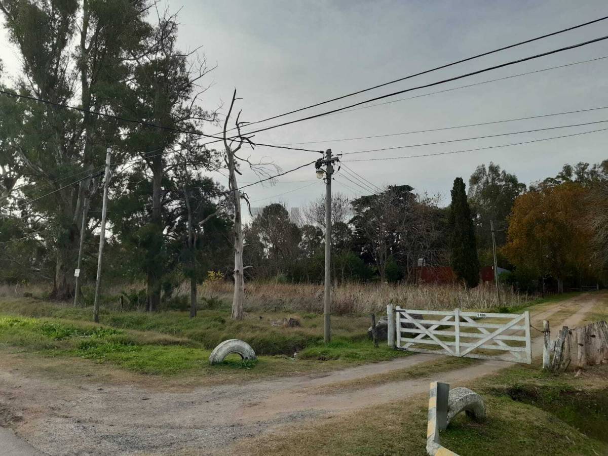 Lote de 1.959 m² en Berisso, foto 4