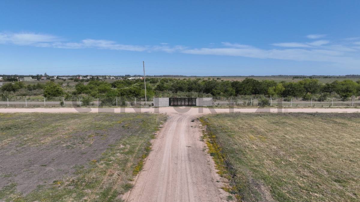 Lote de 555 m² en Berisso, foto 3