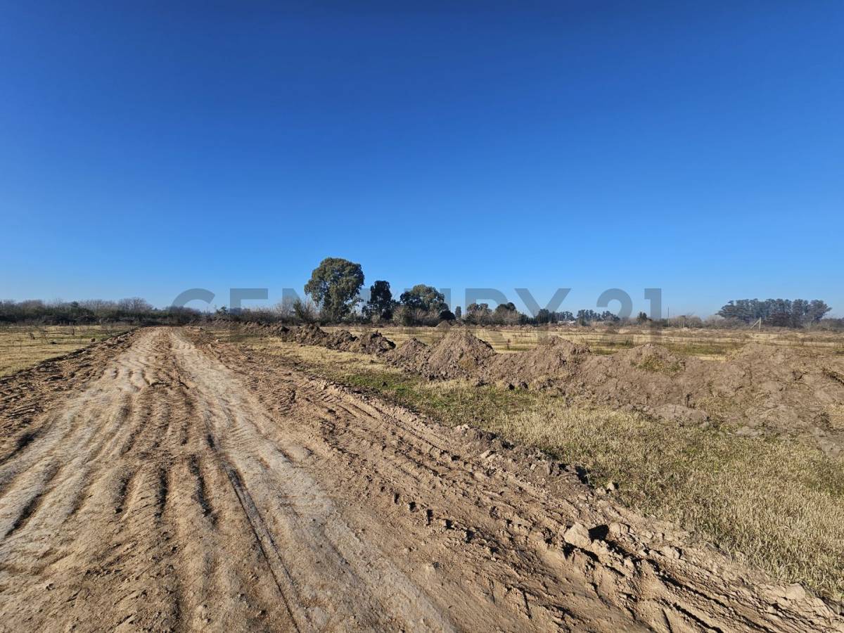 Lote de 320 m² en Los Hornos, foto 5