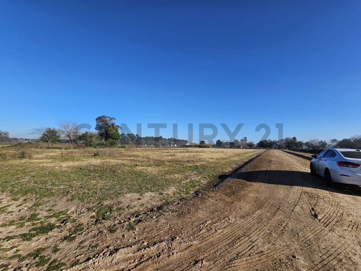 Lote de 320 m² en Los Hornos, foto 2