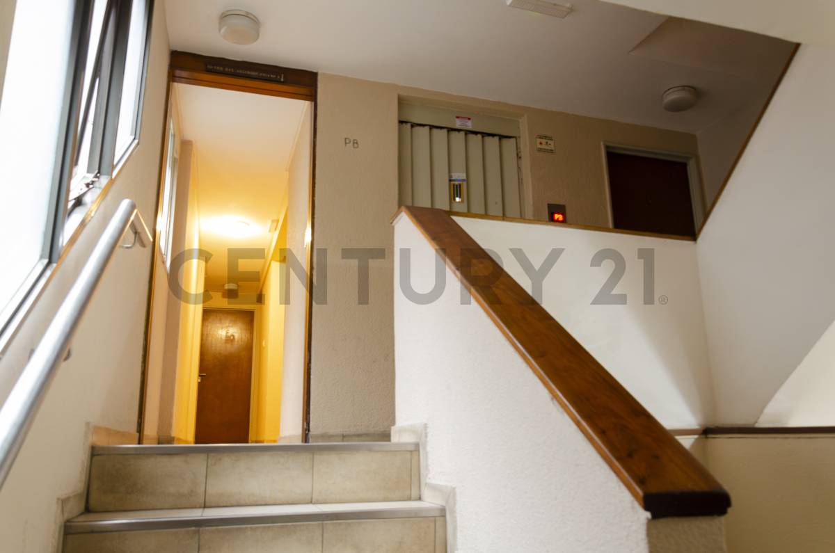 Departamento de 3 dormitorios en La Plata, foto 5