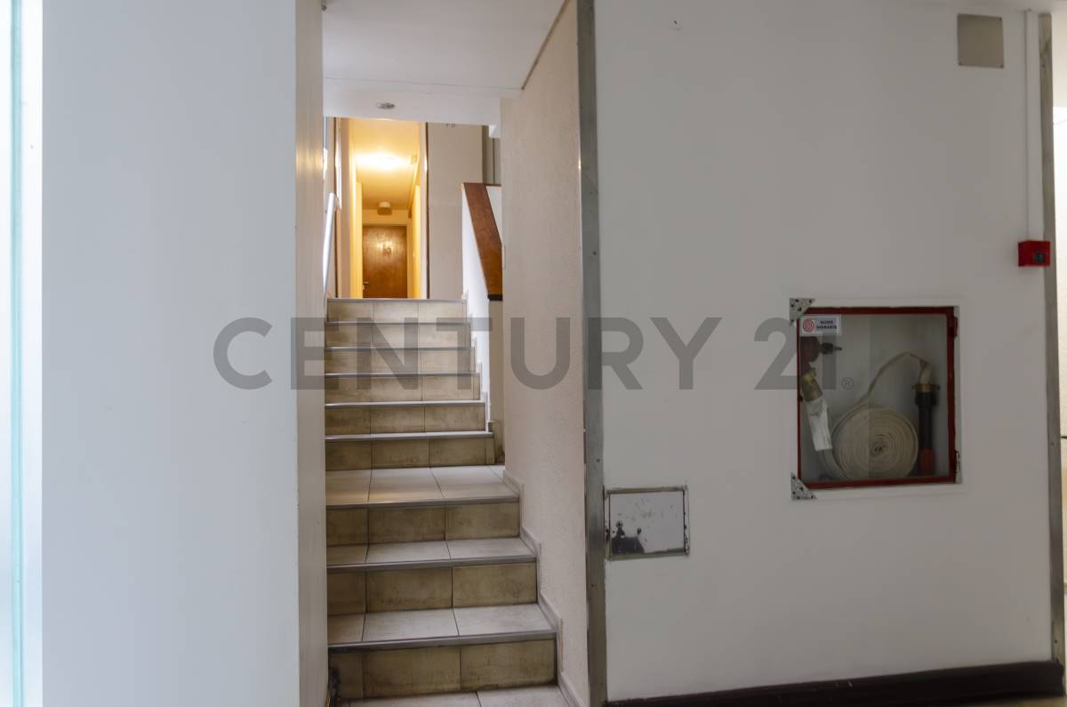 Departamento de 3 dormitorios en La Plata, foto 4