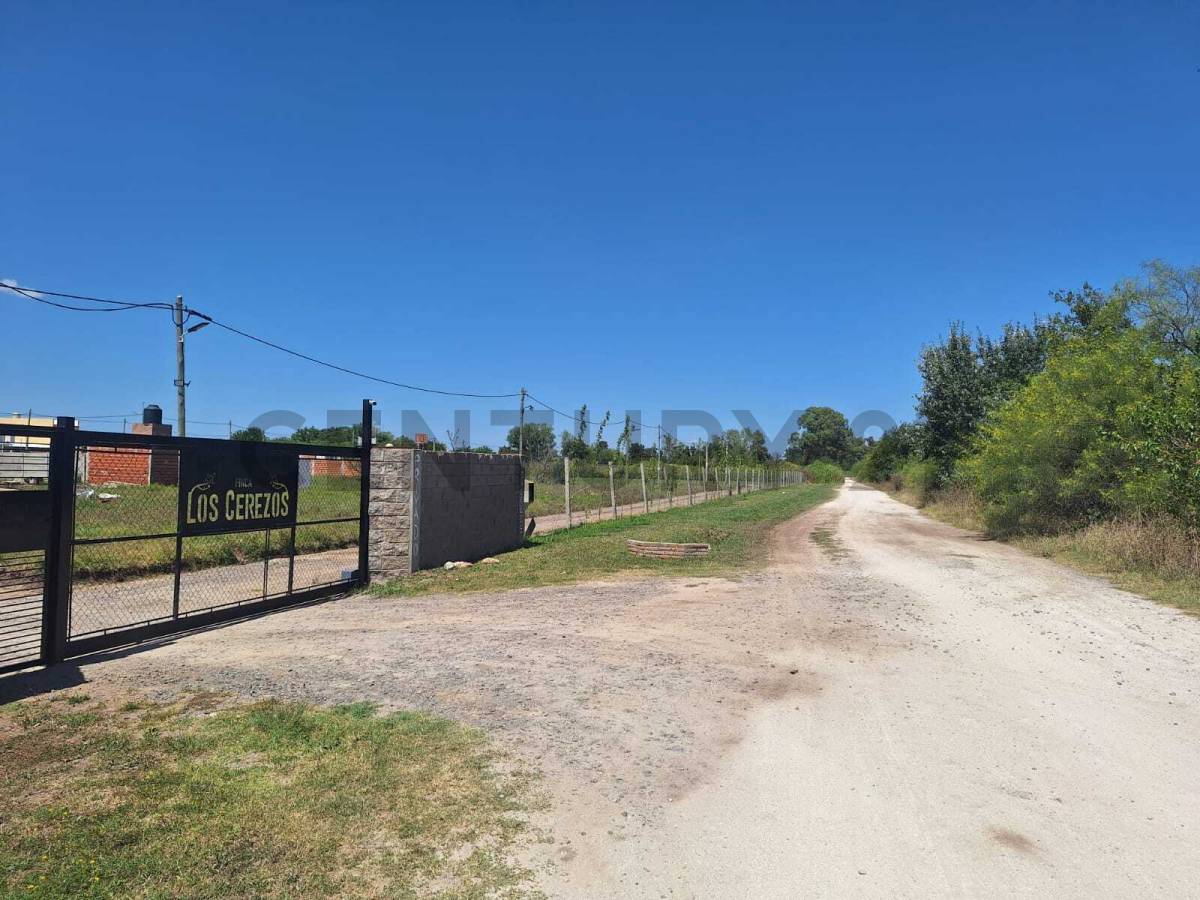Lote de 288 m² en Los Hornos, foto 5