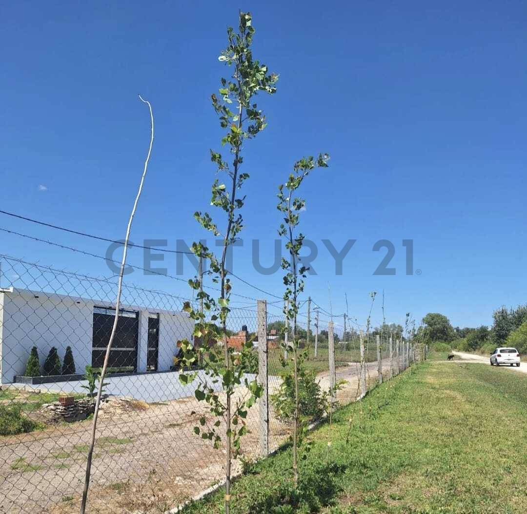 Lote de 288 m² en Los Hornos, foto 2