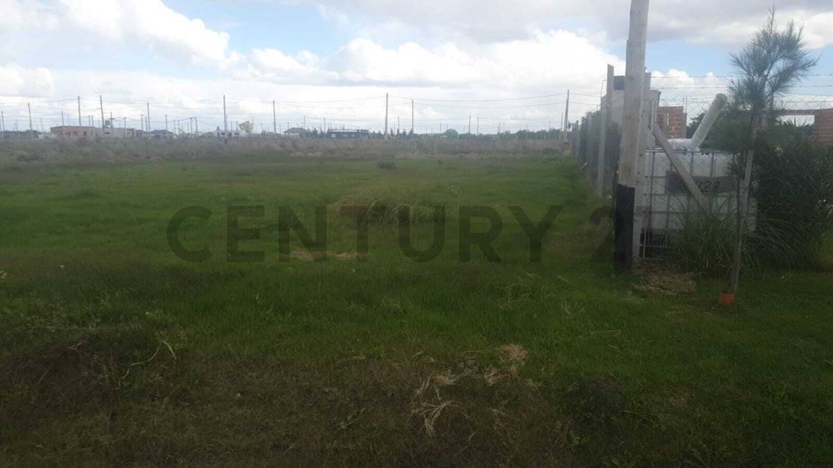 Lote de 650 m² en Berisso, foto 5