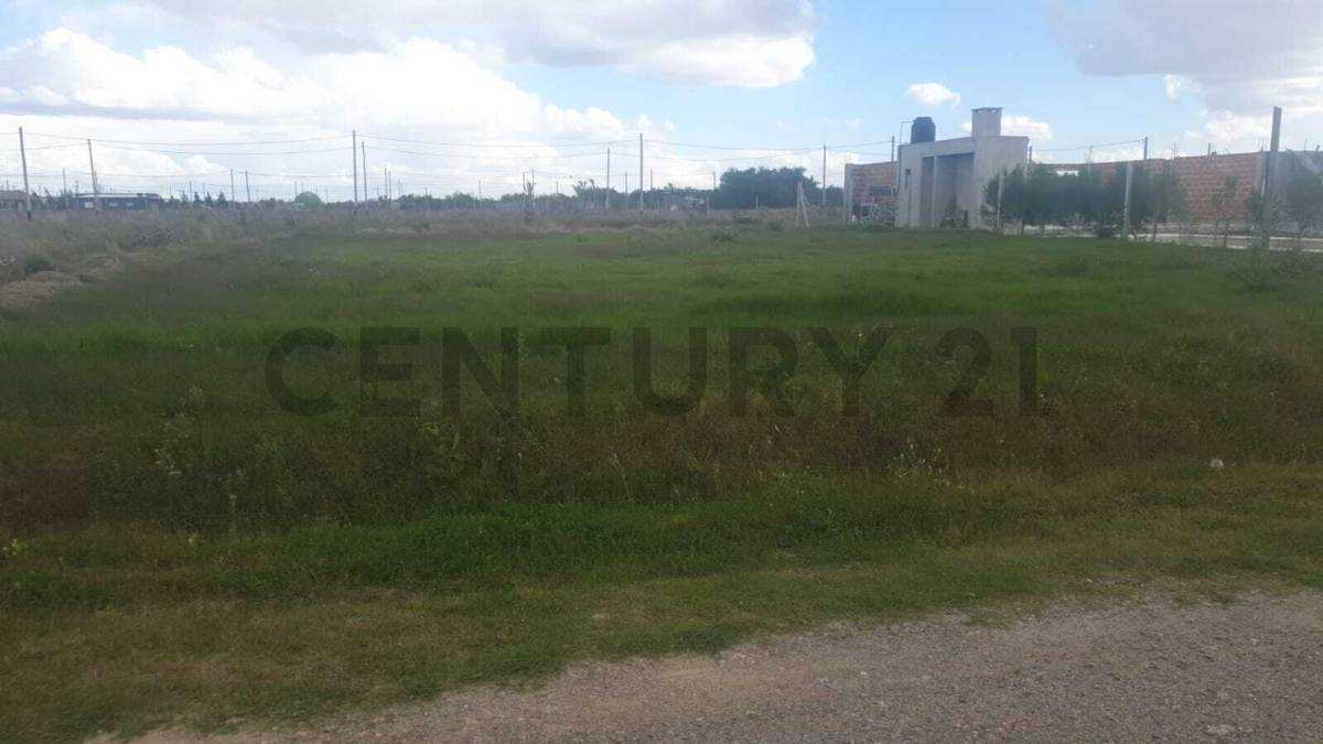 Lote de 650 m² en Berisso, foto 4