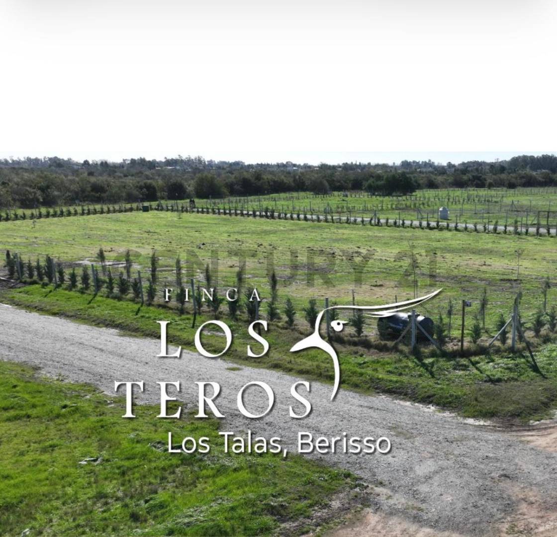 Lote de 650 m² en Berisso, foto 3
