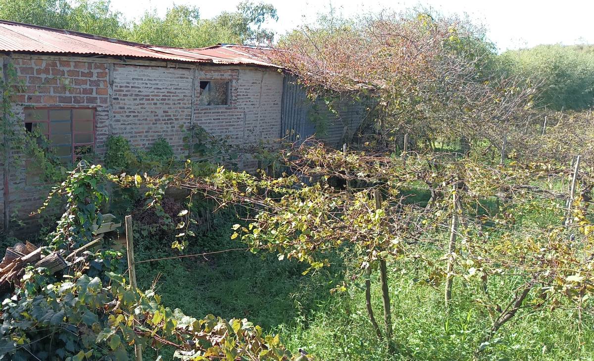 Quinta en Los Talas, foto 5