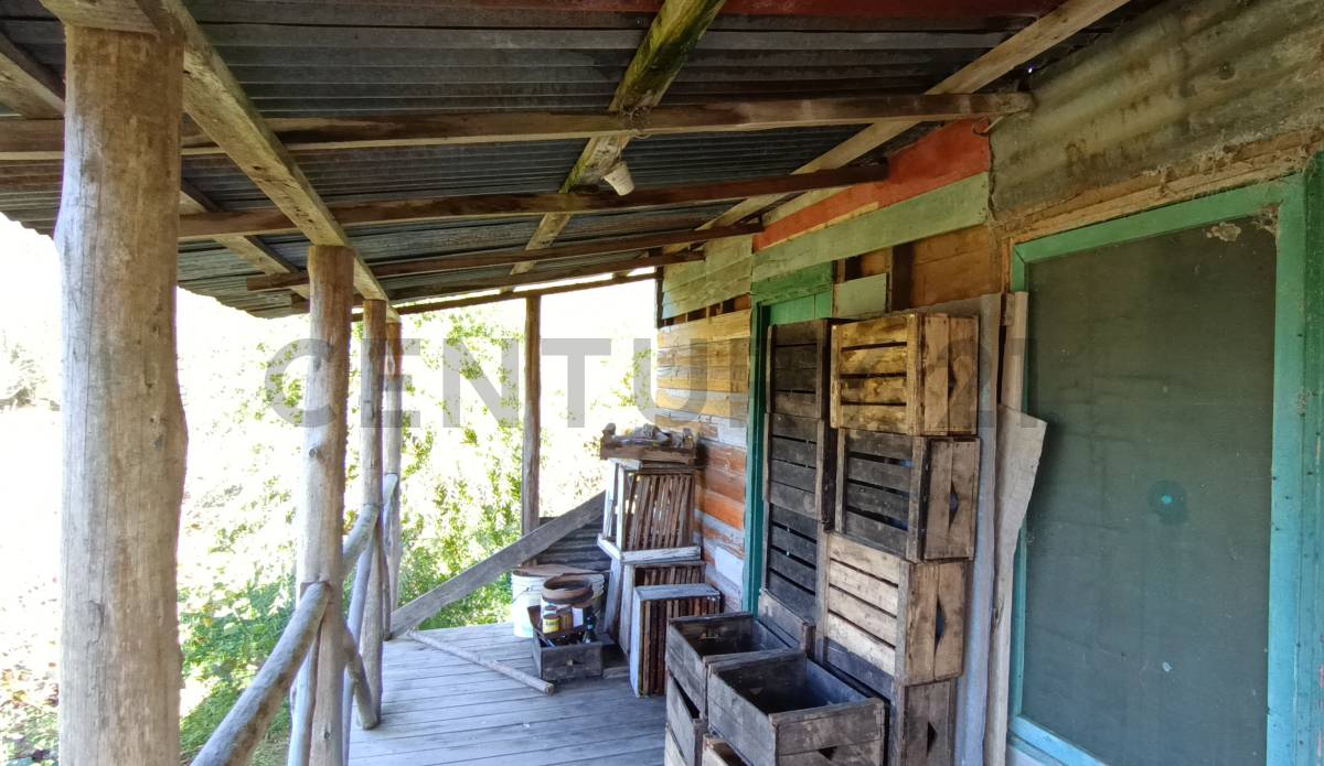 Quinta en Los Talas, foto 3