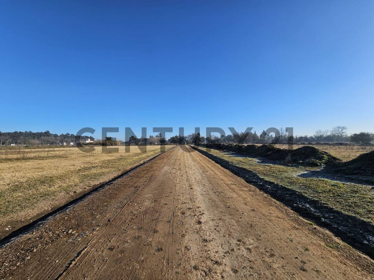 Lote de 299 m² en Los Hornos, foto 5